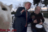 Cat Trump GIF - Cat Trump Biden GIFs