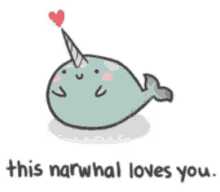 Narwhal Love GIF