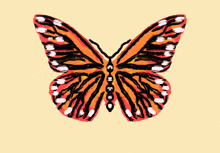 Procreate Butterfly GIF - Procreate Butterfly Amethyst GIFs
