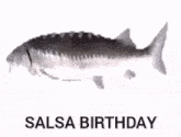 Salsa Birthday Spinning Fish GIF - Salsa Birthday Spinning Fish GIFs
