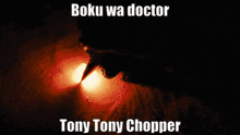Boku Wa Doctor Tony Tony Chopper One Piece GIF - Boku Wa Doctor Tony Tony Chopper One Piece GIFs