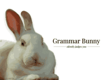 Grammar Bunny GIF - Grammar Bunny GIFs
