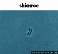 Shincore Shicnroe GIF - Shincore Shicnroe Beempa Clan GIFs