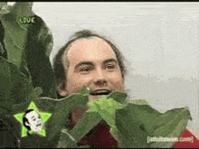 a man with a star on his head is eating leaves .