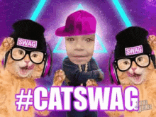 Cat Lady GIF - Cat Lady Swag GIFs