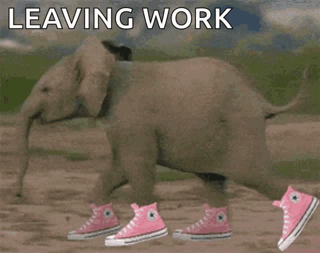 Run Funny GIF Run Funny Converse Discover Share GIFs