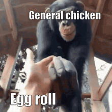 General Chicken Egg Roll GIF - General Chicken Egg Roll Monkey GIFs