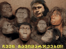 მაიმუნი GIF - მაიმუნი GIFs