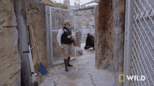 Lets Go National Geographic GIF - Lets Go National Geographic Jo GIFs