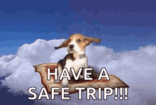 Stay Safe GIF - Stay Safe Travel GIFs