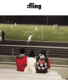 a group of people are sitting on bleachers watching a football game with the words fling written above them .