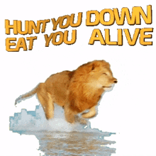 maroon 5 animals music lyrics lion