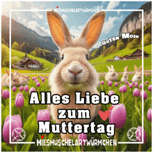 a picture of a rabbit with the words alles liebe zum muttertag at the bottom