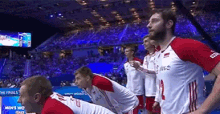 happy volleyball dru%C5%BCyna team polska