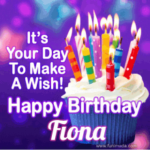 Birthdays Fiona GIF - Birthdays Fiona GIFs