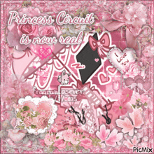 a princess circuit is now real picture with pink flowers