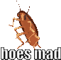 Hoes Mad Cockroach Sticker - Hoes Mad Cockroach Mad Stickers