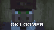 Ok Loomer Meme GIF - Ok Loomer Meme Minecraft GIFs