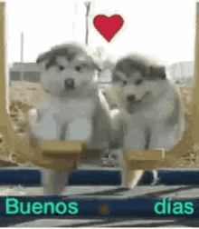 Buenos Dias Heart GIF - Buenos Dias Heart Love GIFs