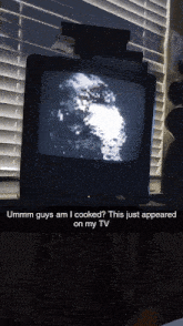 a picture of a tv with a caption that says " ummm guys am i cooked "