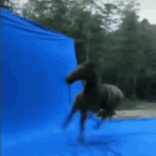 Horse Torrnado Spinning GIF