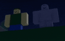 two roblox characters are standing next to each other at night .