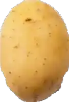 a close up of a potato with spots on it on a white background
