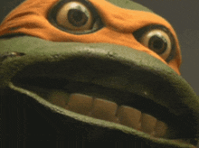 a close up of a turtle with big eyes