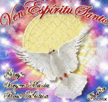 Ven Espiritu Santo Come Holy Spirit GIF - Ven Espiritu Santo Come Holy Spirit Dove GIFs