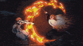 two anime characters are fighting in front of a circle of flames
