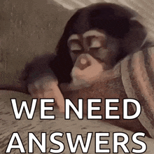 a chimpanzee is laying on a book with the words we need answers written below it .
