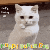 Dance Dance Day GIF - Dance Dance Day Dancing Cat GIFs