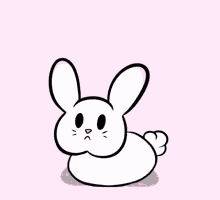 Bunny Cute GIF - Bunny Cute Smile GIFs