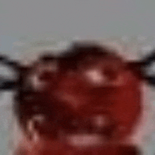 a close up of a person 's face with a spider web around it .