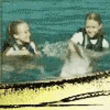 Dolphin Wiggle GIF - Dolphin Wiggle Silly GIFs