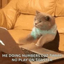Cat Typing GIF - Cat Typing Kitty GIFs