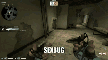 Sexbug Edgebug GIF