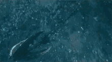 Drop The Anchor - Game Of Thrones GIF - Game Of Thrones Anchor Wall GIFs
