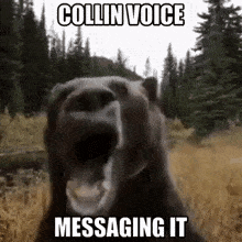 a bear is standing in a field with its mouth open and a caption that says collin voice messaging it .
