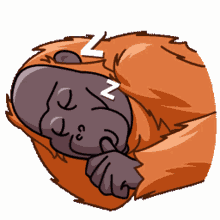 orangutan orang telegram orangutan