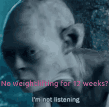 Lord Of The Rings No Weightlifting For12weeks GIF - Lord Of The Rings No Weightlifting For12weeks Im Not Listening GIFs