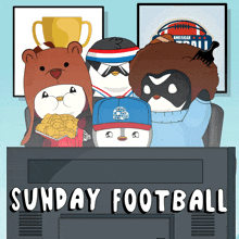 Sunday Football Sunday Superbowl GIF