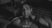 Stella Panic GIF - Stella Panic Worried GIFs