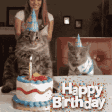 Kitty Birthday GIF - Kitty Birthday Wishes GIFs