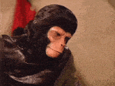 a close up of a monkey wearing a mask and a jacket .