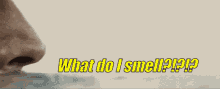 Name Change Smell GIF - Name Change Smell Lionfieldnickfifs GIFs
