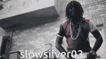 Slowsilver03 GIF - Slowsilver03 GIFs