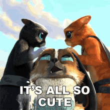Its All So Cute Perro GIF - Its All So Cute Perro Kitty Softpaws GIFs