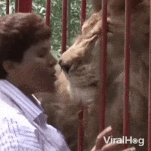 Giving A Kiss Viralhog GIF - Giving A Kiss Viralhog Kiss On The Cheek GIFs