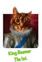 a picture of a cat dressed up as king beemer the 1st